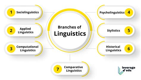 Branches Of Linguistics With Definitions Examples More Leverage Edu