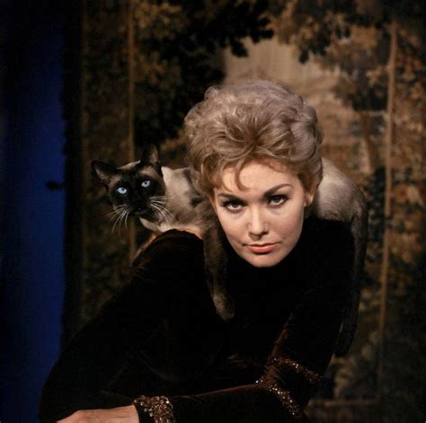 20 Lovely Photos Of Kim Novak With Her Cat Pyewacket In Bell Book