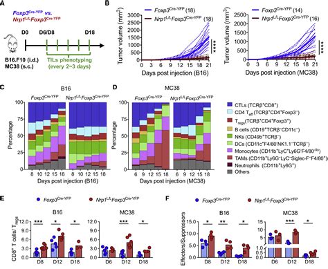 Treg Cells Promote the SREBP1-Dependent Metabolic Fitness of Tumor-Promoting Macrophages via ...