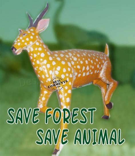 Quotes About Forest Animals 56 Quotes