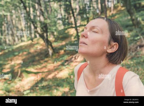 female hiker taking breath of fresh air in forest and enjoying relaxing walk through woods stock