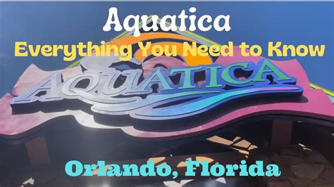 Aquatica Orlando Everything You Need To Know Before You Go Youtube