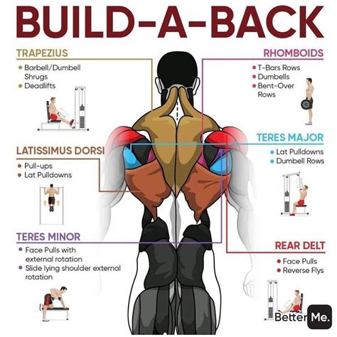 Fitness Diet Workout On Instagram “build A Back 💪 Make Sure To