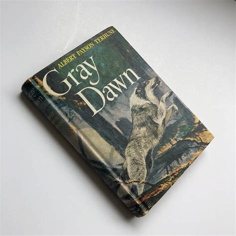 1927 Hard Cover Gray Dawn By Albert Payson Terhune Merle Etsy