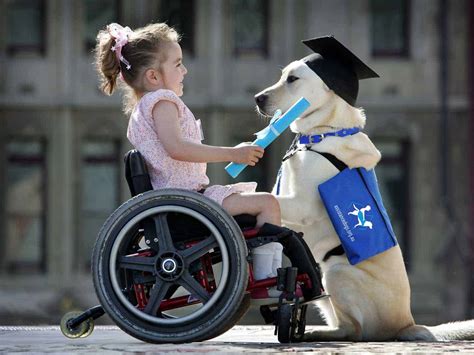 The Beautiful Friendship Of The Rescue Dog And The Disabled Girl Makes