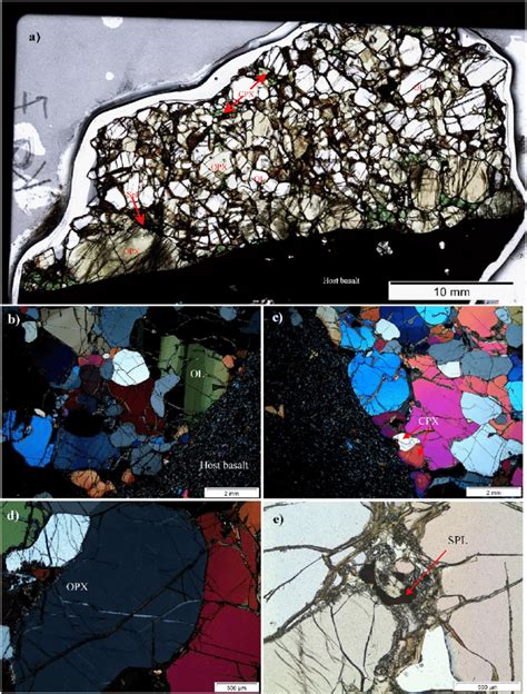 Thin Section Scan Of Kapsiki Xenolith Showing Large Olivine And