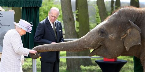 Photos Of Queen Elizabeth Ii With Elephants Queen Elizabeth With