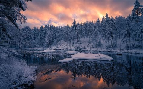 Wallpaper Norway Trees Winter Snow Sunset 1920x1200 Hd Picture Image
