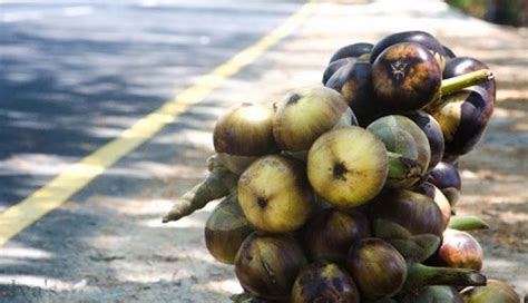 5 Most Famous Fruits Of India