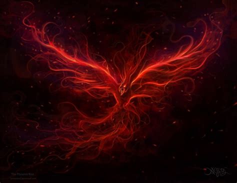 The Phoenix Rise By Amorphisss On Deviantart Phoenix Wallpaper