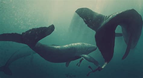 Online Crop Two Person Diving With Whales Digital Wallpaper Whale