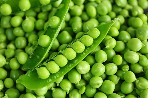 Découvrez les 15 fruits et légumes que vous pouvez cultiver en pot