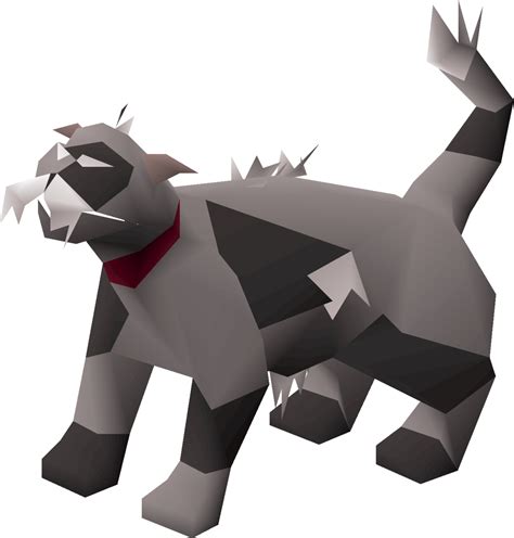 In order to obtain a pet cat, a player must complete the gertrude's cat quest and get a kitten from gertrude. Lazy cat - OSRS Wiki