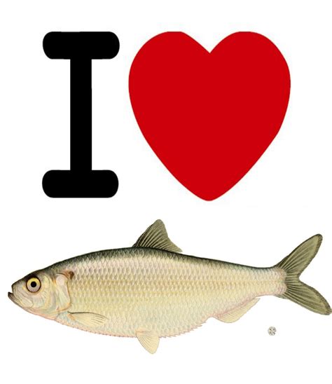 Image I Love Fish Degrassi Wiki