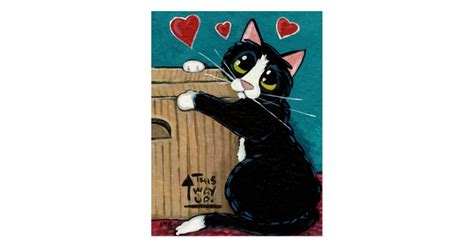 Tuxedo Cat In Love With Box Postcard