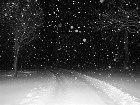 Supported by 20 fans who also own snowfall. night snow | Flickr - Photo Sharing!