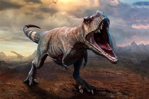 15 Gambar Dinosaurus T Rex