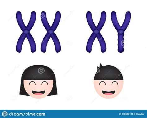 Sex Chromosome Women And Men Stock Illustration Illustration Of Life