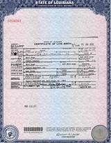Pictures of Where''s My Drivers License Texas