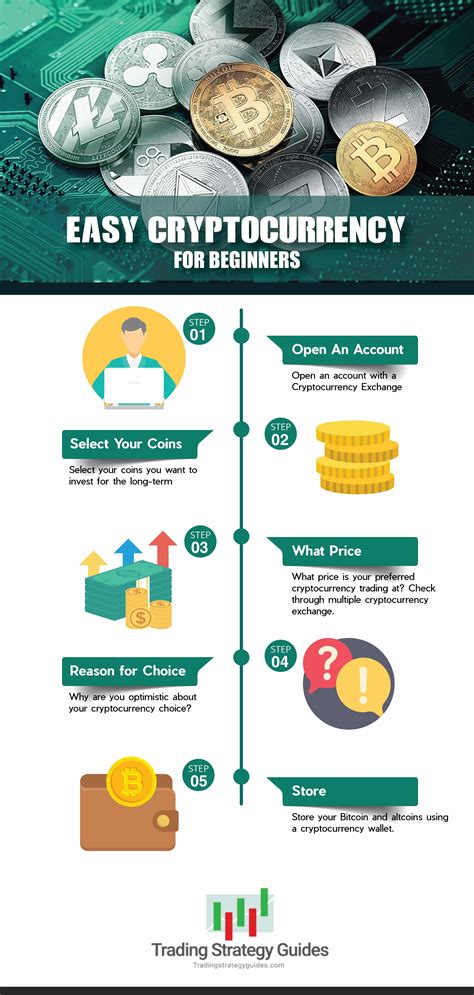 Crypto Guide For Beginner Traders 5 Easy Steps