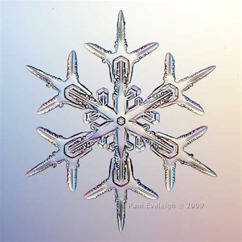 A Perfectly Symmetrical Snowflake Snowflakes Real Snowflakes