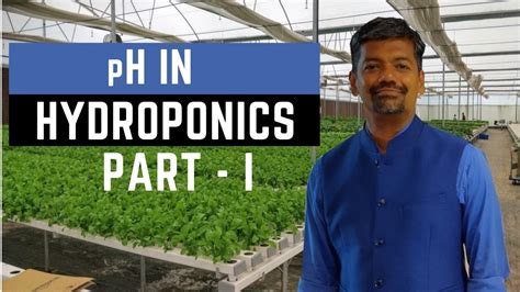 Guide To Understanding Ph In Hydroponics Part I Youtube