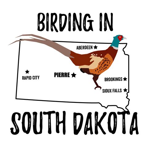 Birds In South Dakota Bird Watching Academy