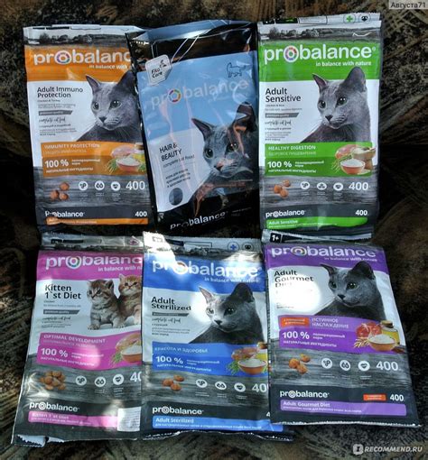 Корм для кошек Probalance Immuno с курицей и индейкой - ««Кошачья еда ...