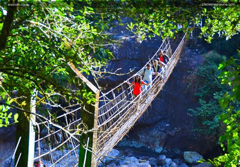 The Double Decker Living Root Bridge In Nongriat Meghalaya Was Out