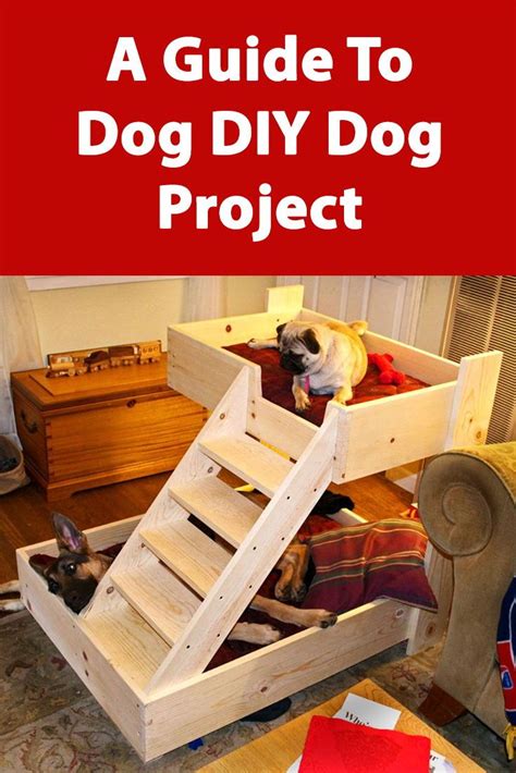 10 Diy Dog Projects Diy Dog Stuff Dog Projects Dogs Diy Projects