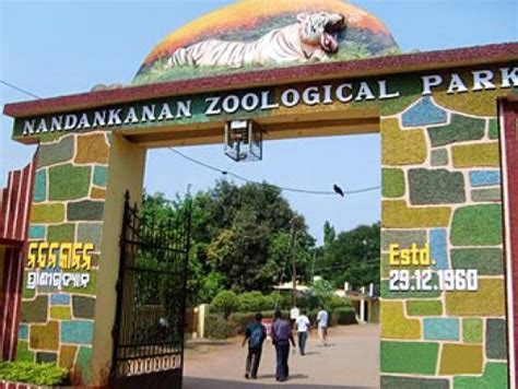 Nandankanan Zoological Park To Reopen On Aug 3 Update Odisha Odisha