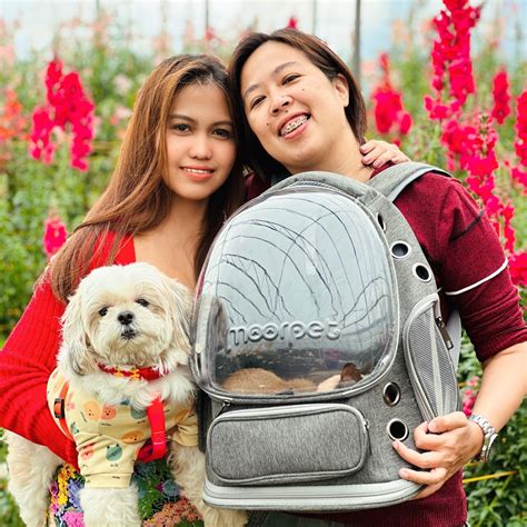 The Pet-Friendly Explorer: Uncovering Pet-Welcome Venues