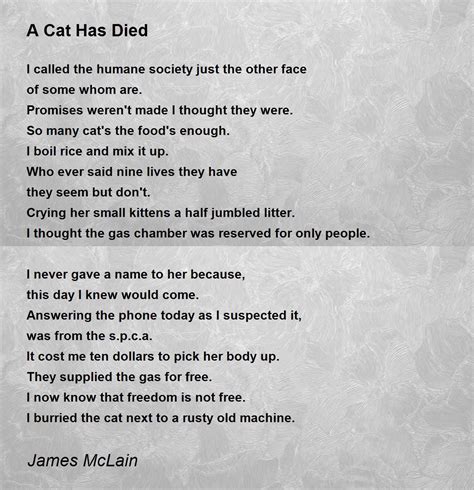 A Cat Has Died Poem By James Mclain Poem Hunter