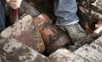 Stones are the valuable currency in penguin terms, said dr fiona hunter, a researcher in the zoology department at cambridge university, who has spent five years observing. 2016 Sewer Repair Cost Guide | Main Sewer Line Repair