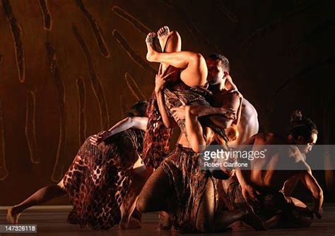 terrain bangarra dance theatre photo call photos and premium high res pictures getty images