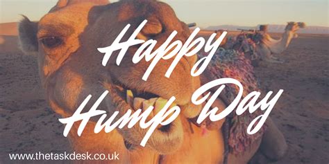 Happy Wednesday Hump Day Image Hump Day Images Wednesday Hump Day