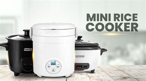 Best Mini Rice Cooker On Amazon Youtube