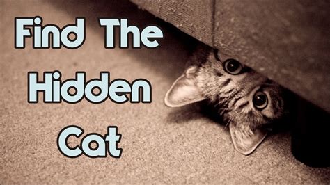 Can You Find The Hidden Cat 90 Will Fail Youtube