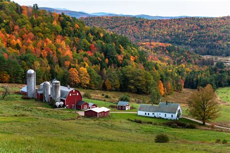 Rural Vermont In Autumn View Of Hillside Acres Farm In Barnet Vt In