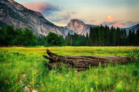 Usa Parks Mountains Forests Scenery Yosemite Grass