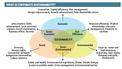 Globe Net What Is Corporate Sustainability Globe Net