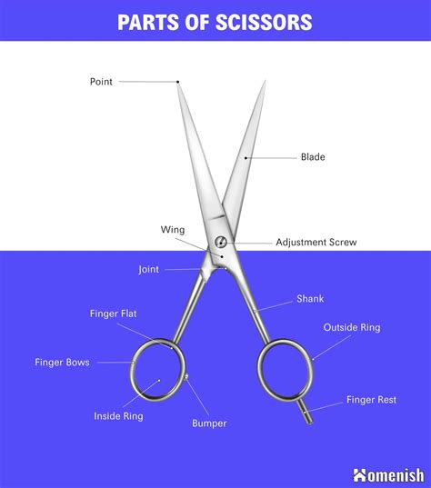 Identifying Parts Of Scissors With Illustrated Diagram Homenish