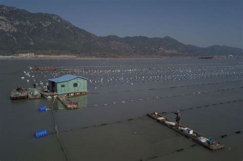 China Fish Farmers Harvest Troubled Waters With Floating Villages