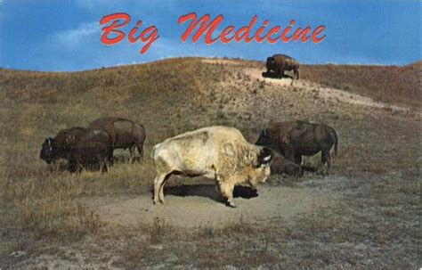 Big Medicine Buffalo