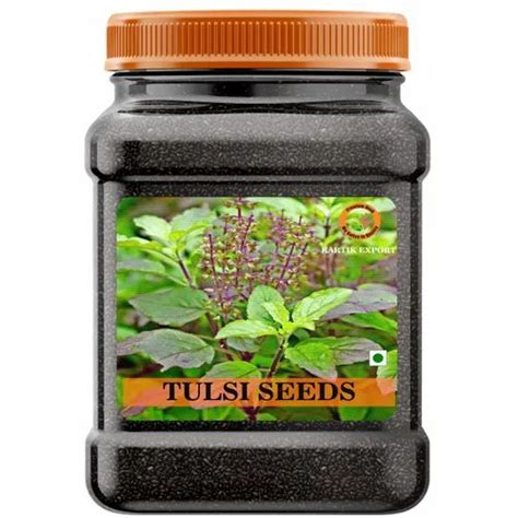 Krishna Tulsi Seeds Basil Seeds At Rs 240kg Basil Seeds In Neemuch