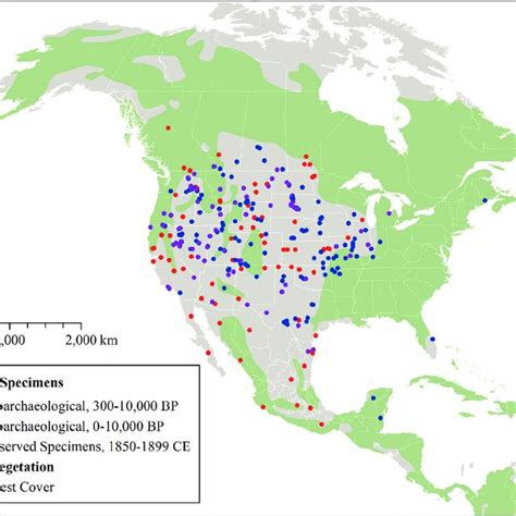 Pdf Mapping The Expansion Of Coyotes Canis Latrans Across North And