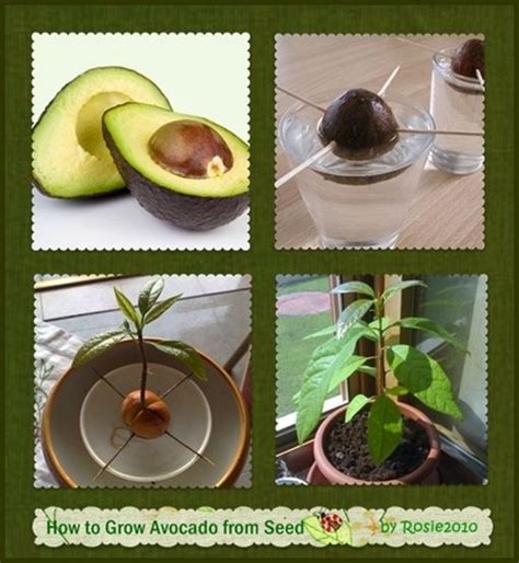 Check out tips & tricks from glad®. 60 best images about Kids - Long Term Projects on ...