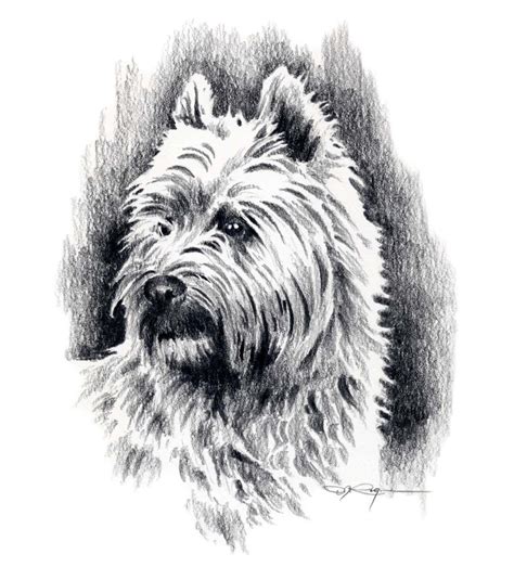 Cairn Terrier Dog Art Print Signed By Artist Dj By K9artgallery Cairn