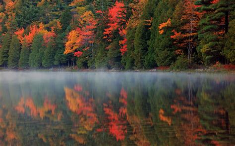 Autumn Forest, Fog, Lake | Wallpaper Drive
