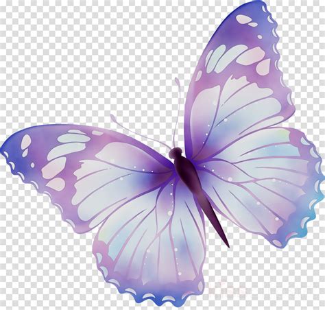 Purple Butterfly Png Roxo Butterf Butterfly Clip Art Monarch Butterfly